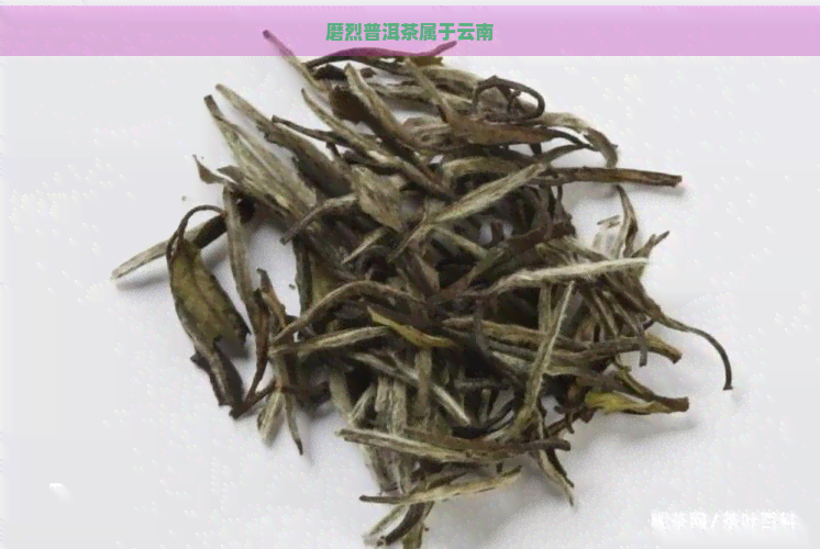 磨烈普洱茶属于云南