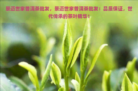 景迈世家普洱茶批发，景迈世家普洱茶批发：品质保证，世代传承的茶叶精华！