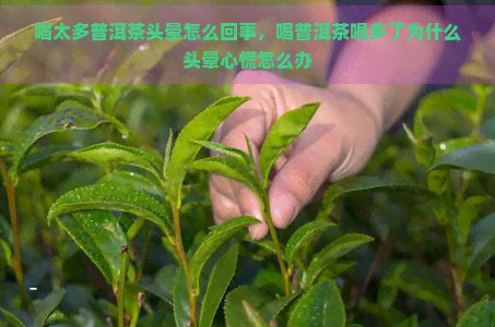 喝太多普洱茶头晕怎么回事，喝普洱茶喝多了为什么头晕心慌怎么办