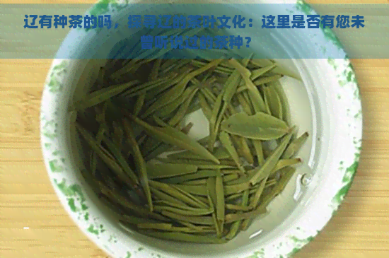 辽有种茶的吗，探寻辽的茶叶文化：这里是否有您未曾听说过的茶种？