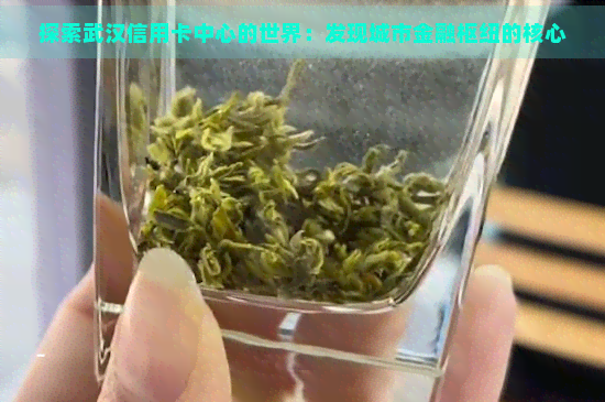 探索武汉信用卡中心的世界：发现城市金融枢纽的核心