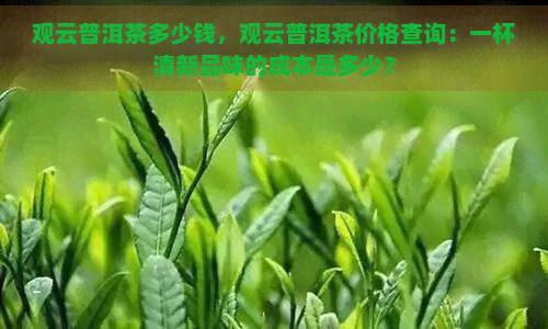 观云普洱茶多少钱，观云普洱茶价格查询：一杯清新品味的成本是多少？