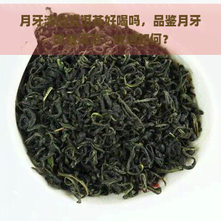 月牙湾的普洱茶好喝吗，品鉴月牙湾普洱茶：味道如何？