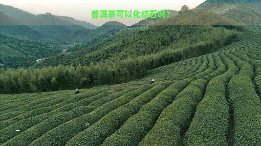 普洱茶可以化结石吗？