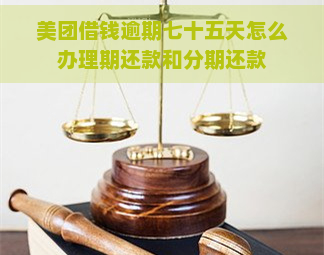 美团借钱逾期七十五天怎么办理期还款和分期还款