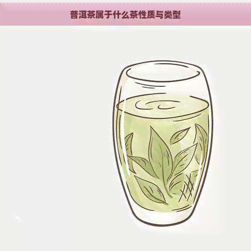 普洱茶属于什么茶性质与类型