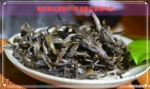 普洱茶白絮图片-普洱茶白絮图片欣