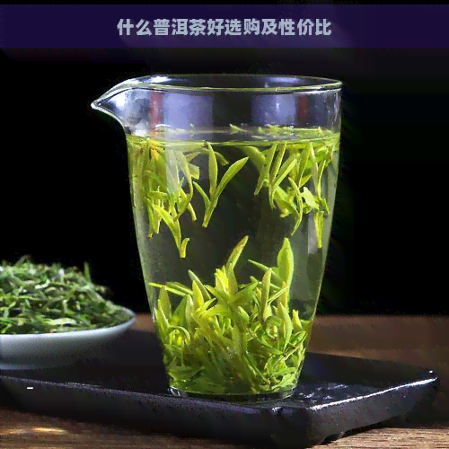 什么普洱茶好选购及性价比