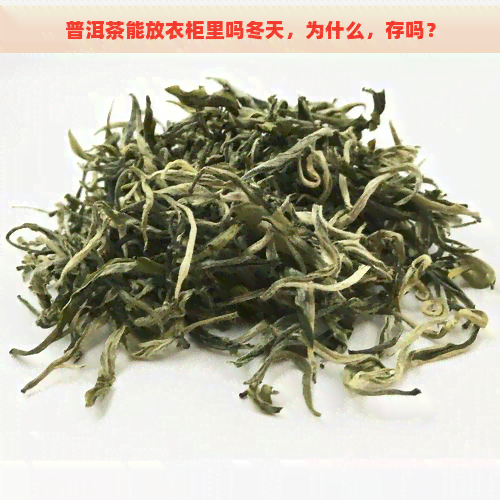 普洱茶能放衣柜里吗冬天，为什么，存吗？