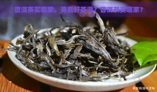 普洱茶买哪家，寻觅好茶源？普洱茶买哪家？