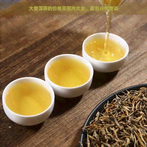 大普洱茶的价格及图片大全，最新行情查询