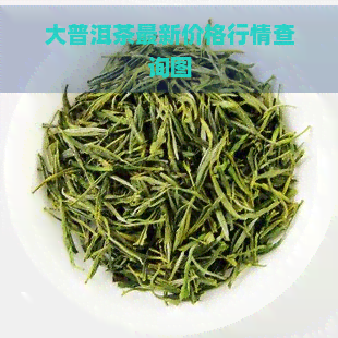 大普洱茶最新价格行情查询图