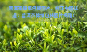 普洱茶棉纸包装图片，纯正中国味道：普洱茶棉纸包装图片揭秘！