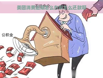 美团消费逾期怎么办啊怎么还款啊