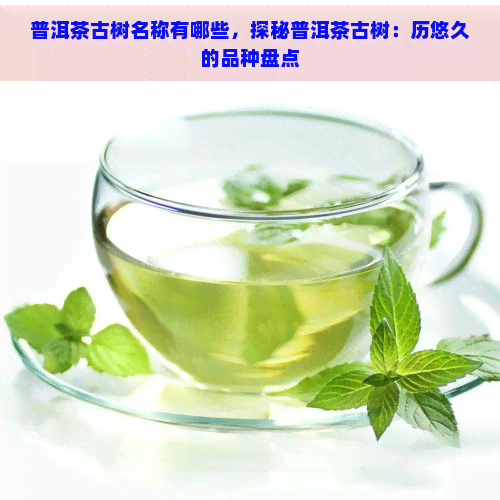 普洱茶古树名称有哪些，探秘普洱茶古树：历悠久的品种盘点