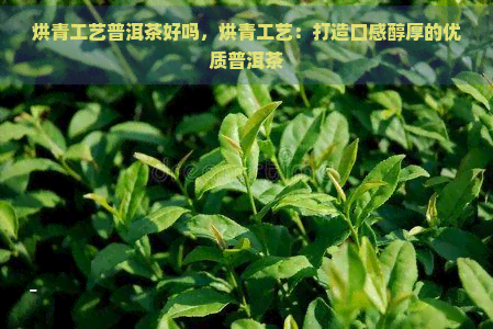 烘青工艺普洱茶好吗，烘青工艺：打造口感醇厚的优质普洱茶