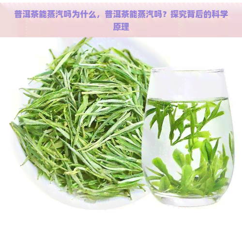 普洱茶能蒸汽吗为什么，普洱茶能蒸汽吗？探究背后的科学原理