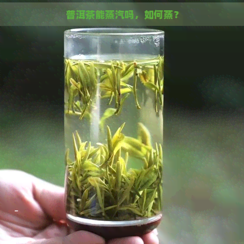 普洱茶能蒸汽吗，如何蒸？