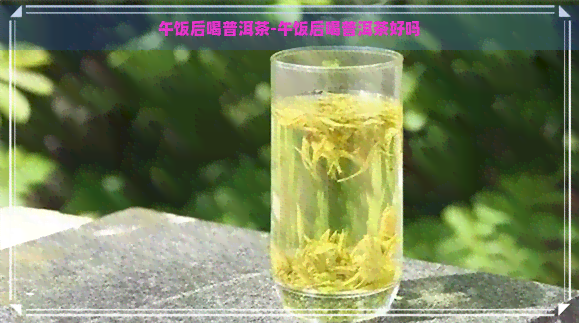 午饭后喝普洱茶-午饭后喝普洱茶好吗