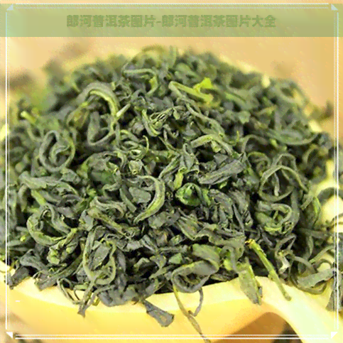 郎河普洱茶图片-郎河普洱茶图片大全