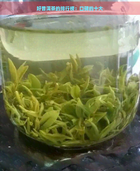 好普洱茶的排行榜：口碑的十大