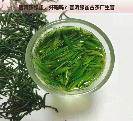 普洱茶绿雀，好喝吗？普洱绿雀古茶厂生普