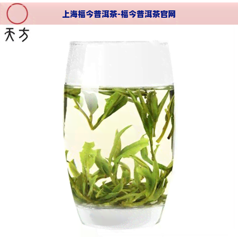 上海福今普洱茶-福今普洱茶官网