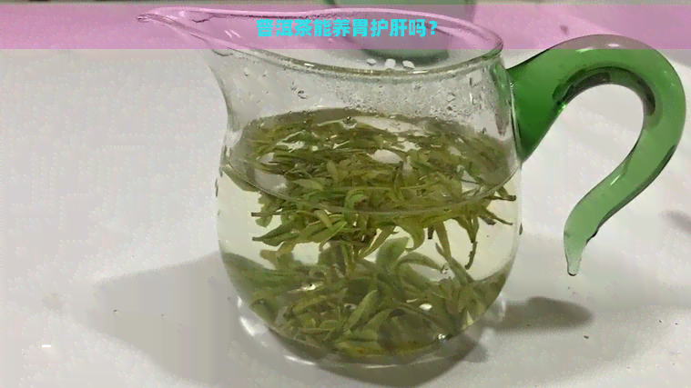 普洱茶能养胃护肝吗？