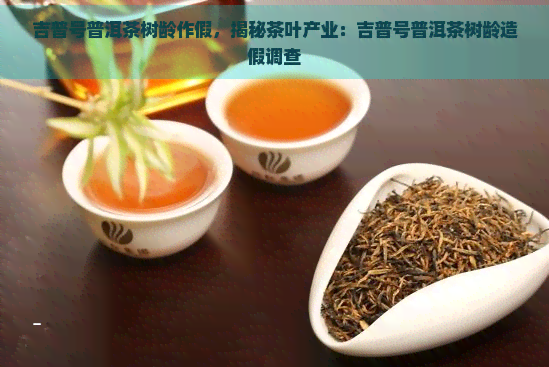 吉普号普洱茶树龄作假，揭秘茶叶产业：吉普号普洱茶树龄造假调查