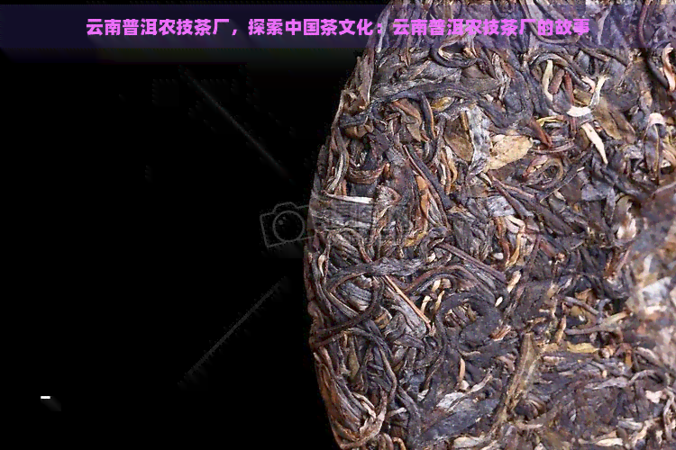 云南普洱农技茶厂，探索中国茶文化：云南普洱农技茶厂的故事