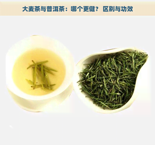 大麦茶与普洱茶：哪个更健？ 区别与功效