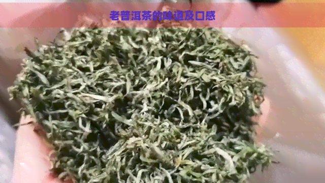 老普洱茶的味道及口感