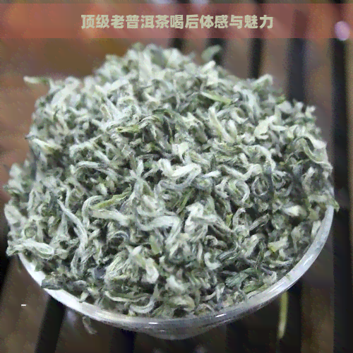 顶级老普洱茶喝后体感与魅力