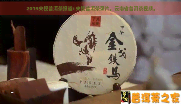 2019央视普洱茶报道: 央视普洱茶录片，云南省普洱茶视频。