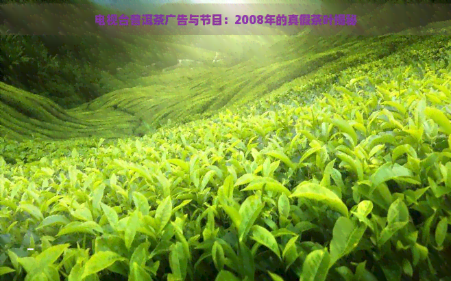 电视台普洱茶广告与节目：2008年的真假茶叶揭秘