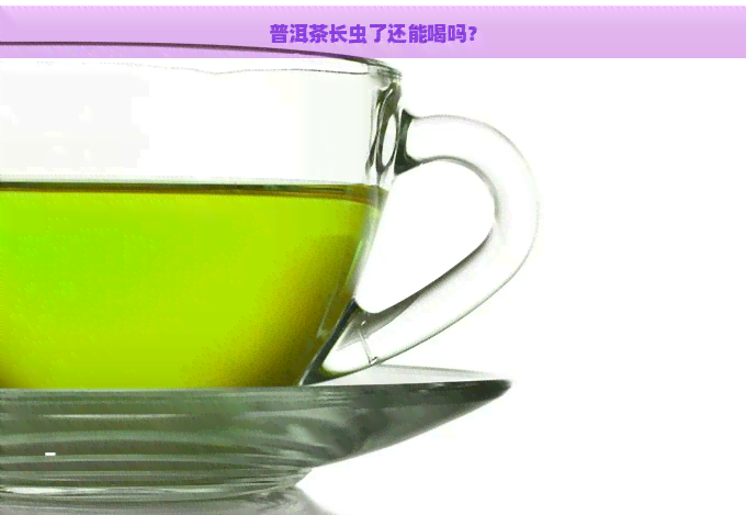 普洱茶长虫了还能喝吗？