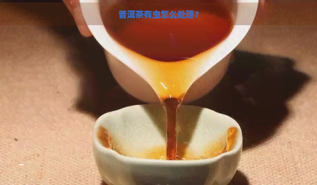 普洱茶有虫怎么处理？