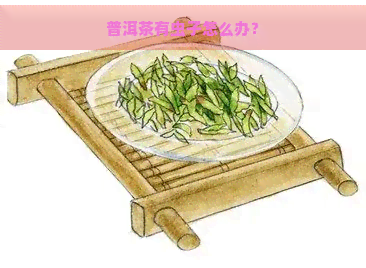 普洱茶有虫子怎么办？