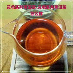 灵龟系列普洱茶-灵龟系列普洱茶怎么样