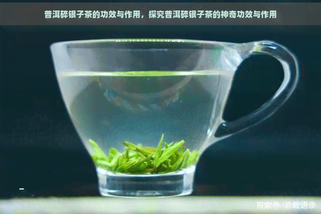 普洱碎银子茶的功效与作用，探究普洱碎银子茶的神奇功效与作用