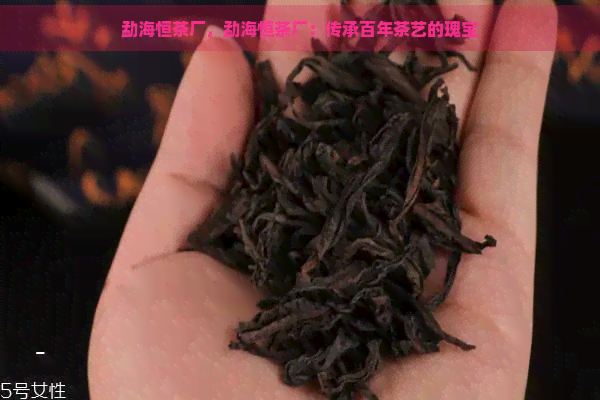 勐海恒茶厂，勐海恒茶厂：传承百年茶艺的瑰宝