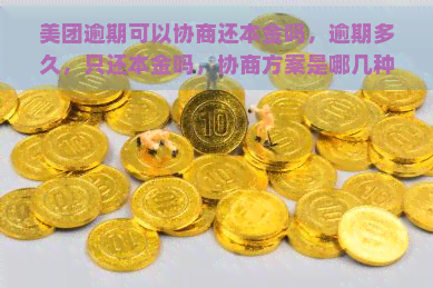 美团逾期可以协商还本金吗，逾期多久，只还本金吗，协商方案是哪几种