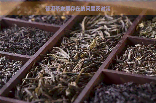 普洱茶发展存在的问题及对策