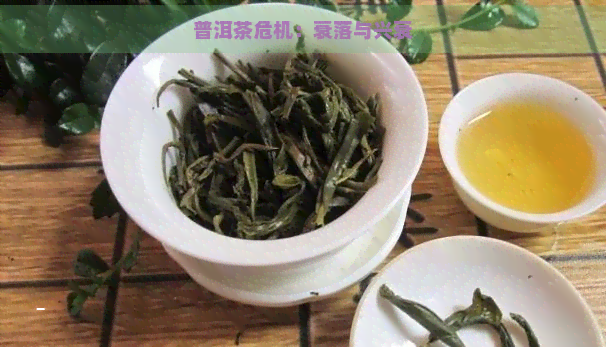 普洱茶危机：衰落与兴衰