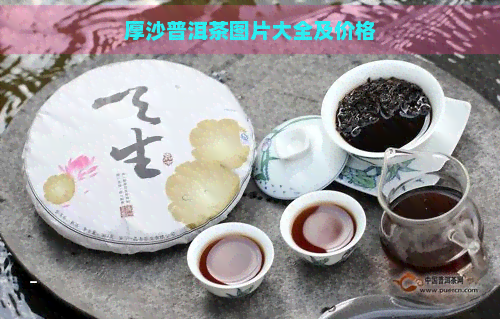 厚沙普洱茶图片大全及价格