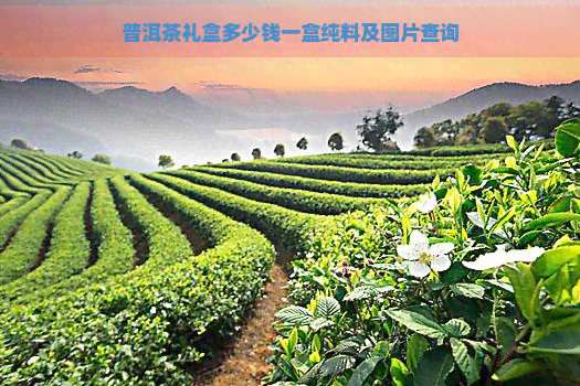 普洱茶礼盒多少钱一盒纯料及图片查询