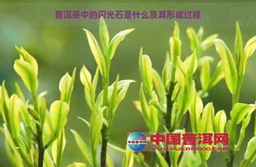 普洱茶中的闪光石是什么及其形成过程