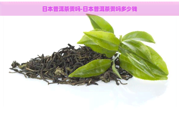 普洱茶贵吗-普洱茶贵吗多少钱