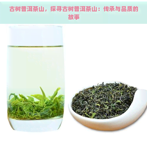 古树普洱茶山，探寻古树普洱茶山：传承与品质的故事