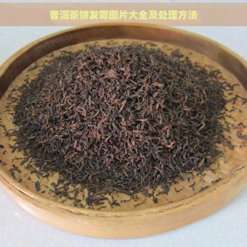 普洱茶饼发霉图片大全及处理方法